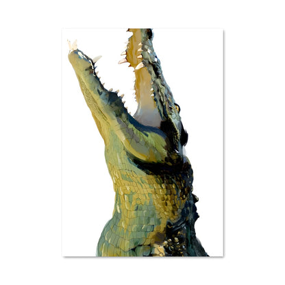 Poster Croco en Fureur