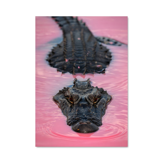 Poster Crocodile Mystique