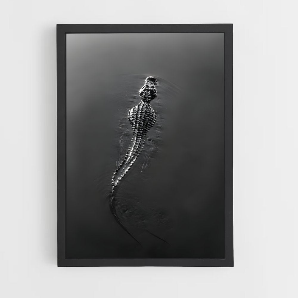 ap-crocodile-8 cadre Noir
