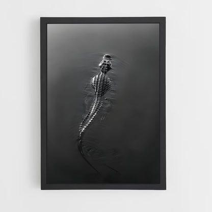 ap-crocodile-8 cadre Noir