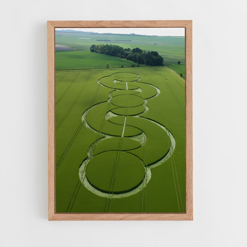 ap-crop circles-4 cadre Bois clair