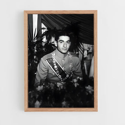 ap-crown prince reza pahlavi-5 cadre Bois clair