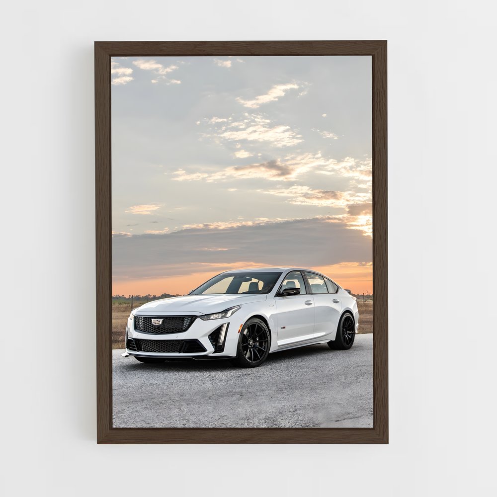 ap-cts-v-1 cadre Bois foncé