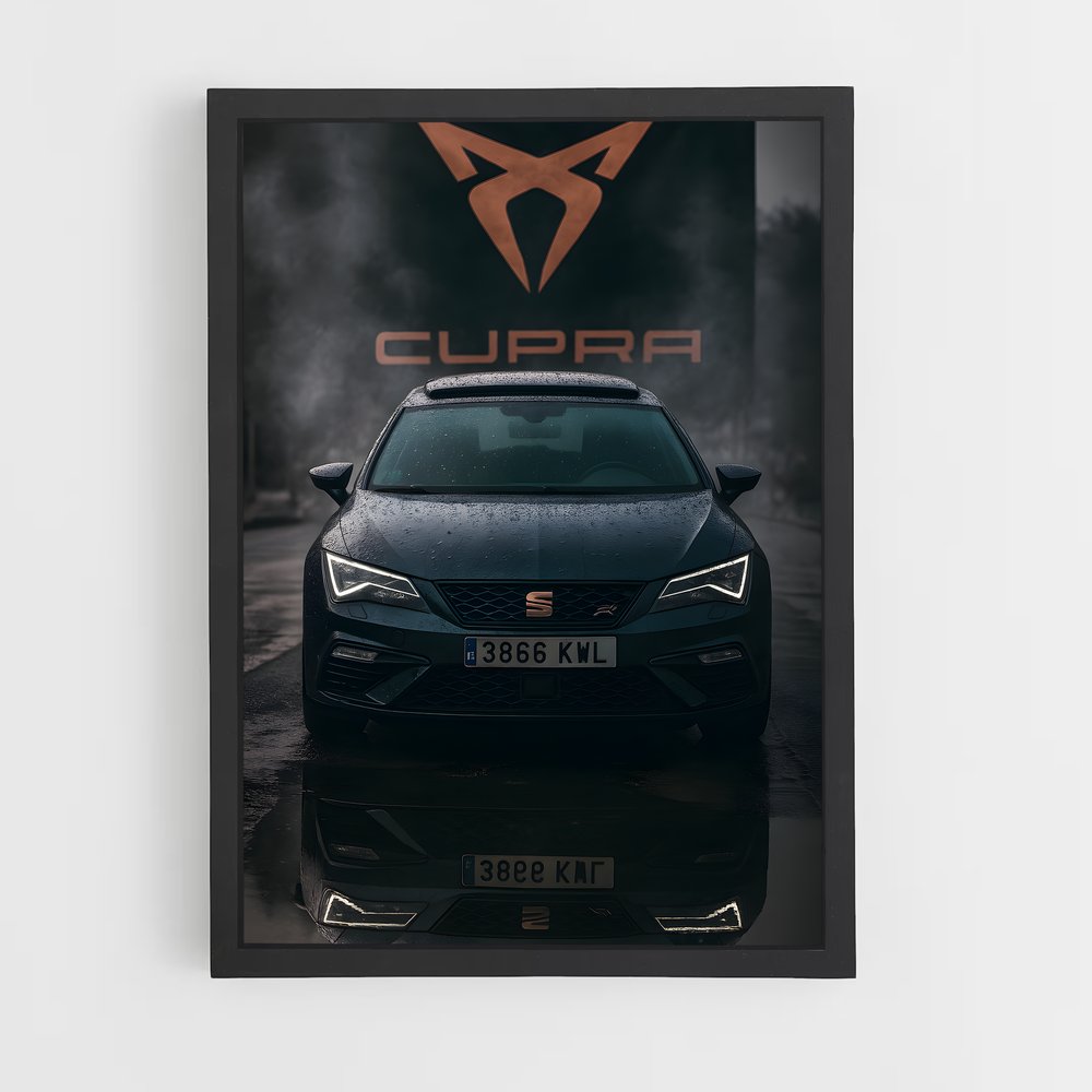 ap-cupra-2 cadre Noir