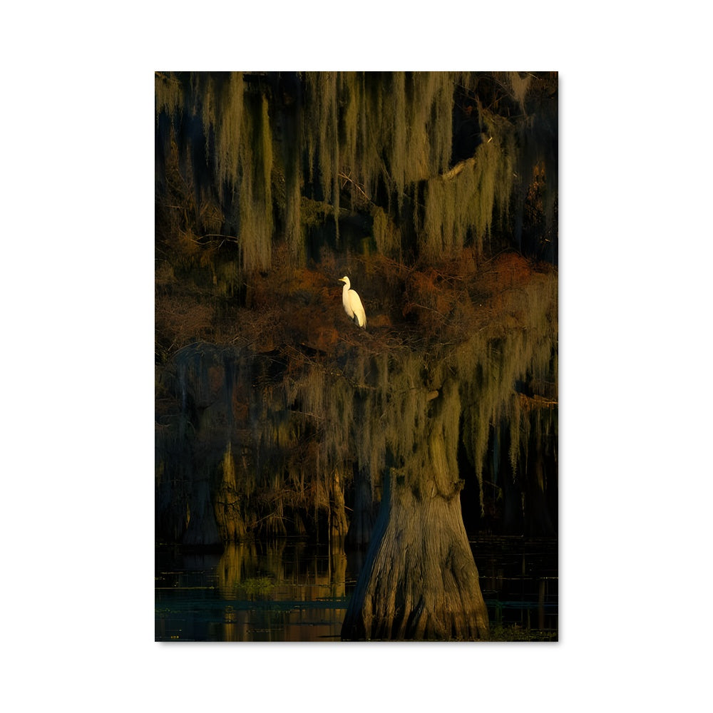 Poster L'Oiseau des Marais