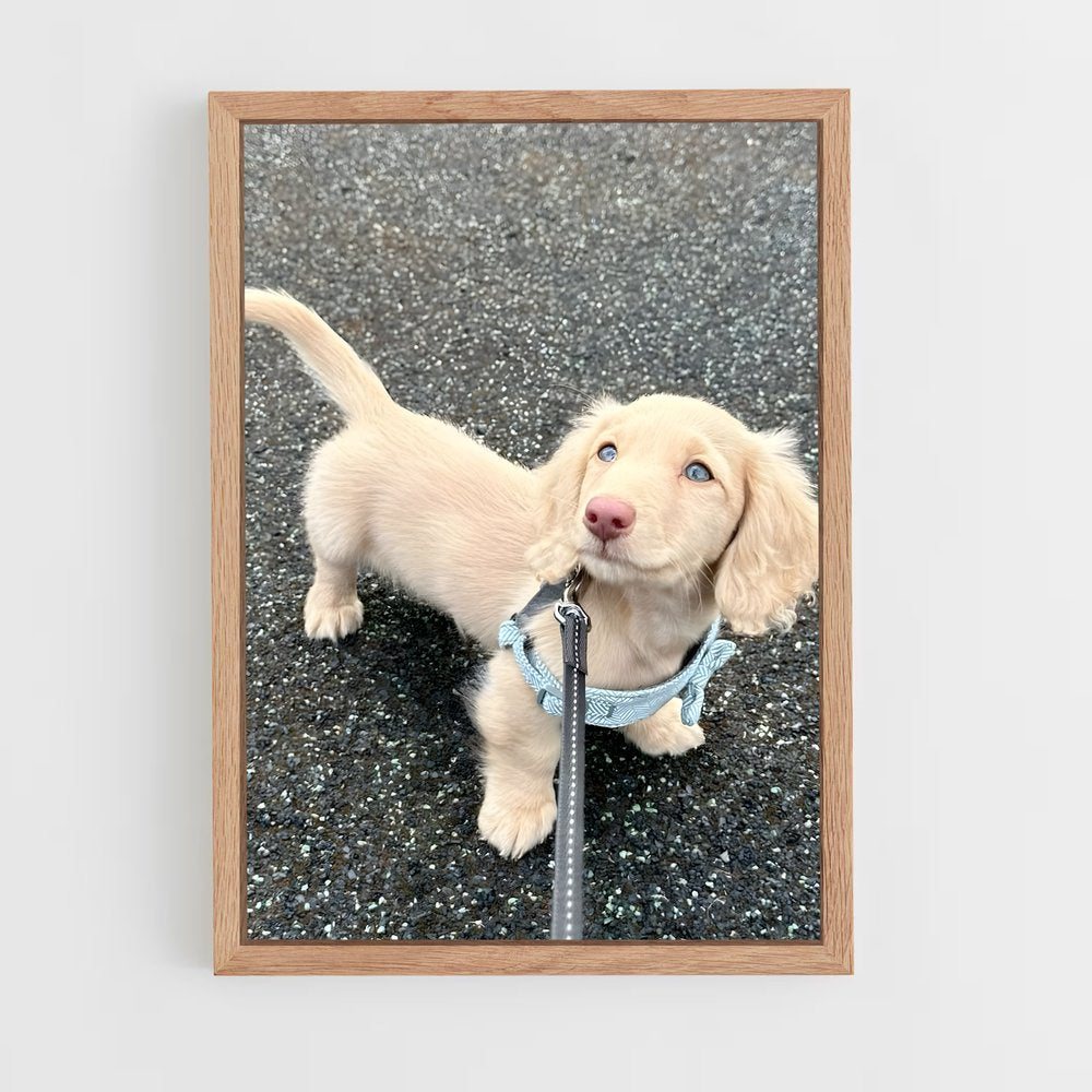 ap-dachshund-1 cadre Bois clair