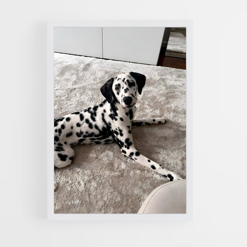 ap-dalmatian-1 cadre Blanc