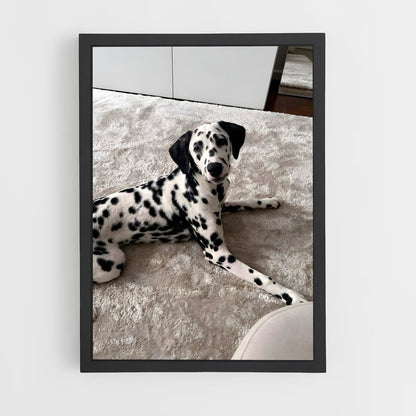 ap-dalmatian-1 cadre Noir