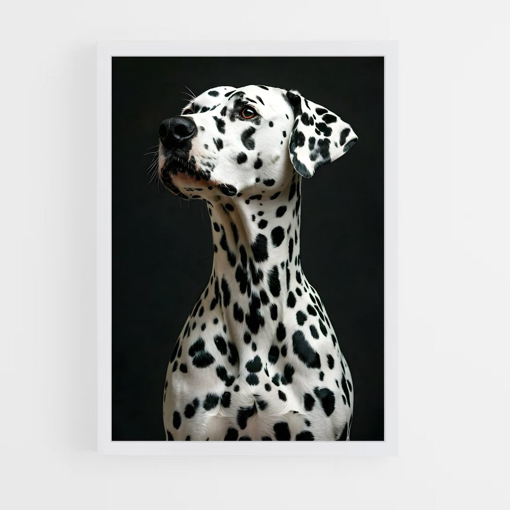 ap-dalmatian-2 cadre Blanc