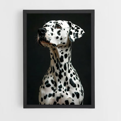 ap-dalmatian-2 cadre Noir