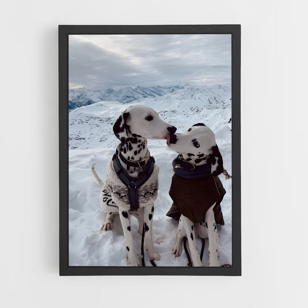 ap-dalmatian-3 cadre Noir