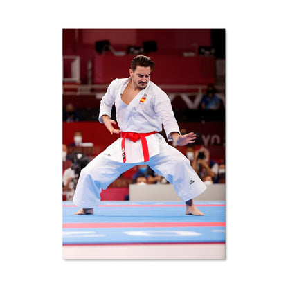 Poster Karateka en Action