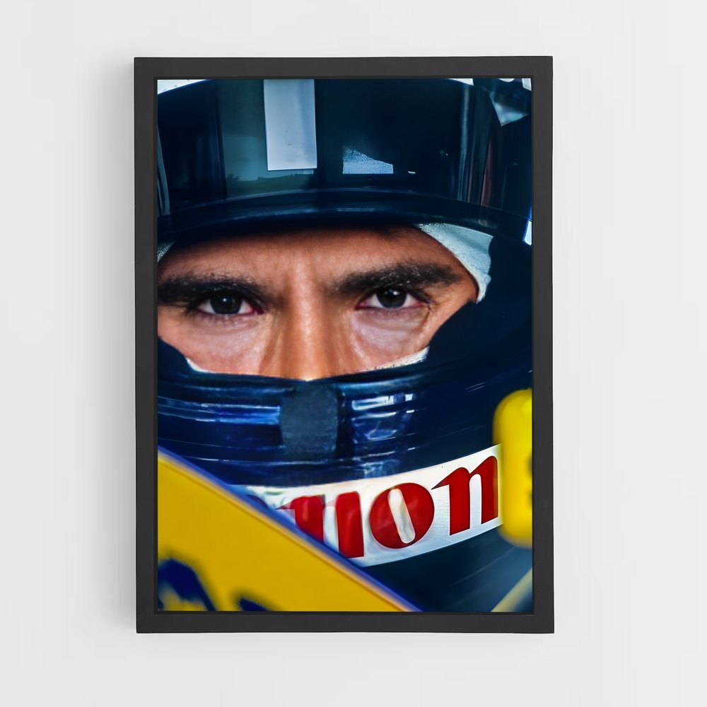 ap-damon hill-6 cadre Noir