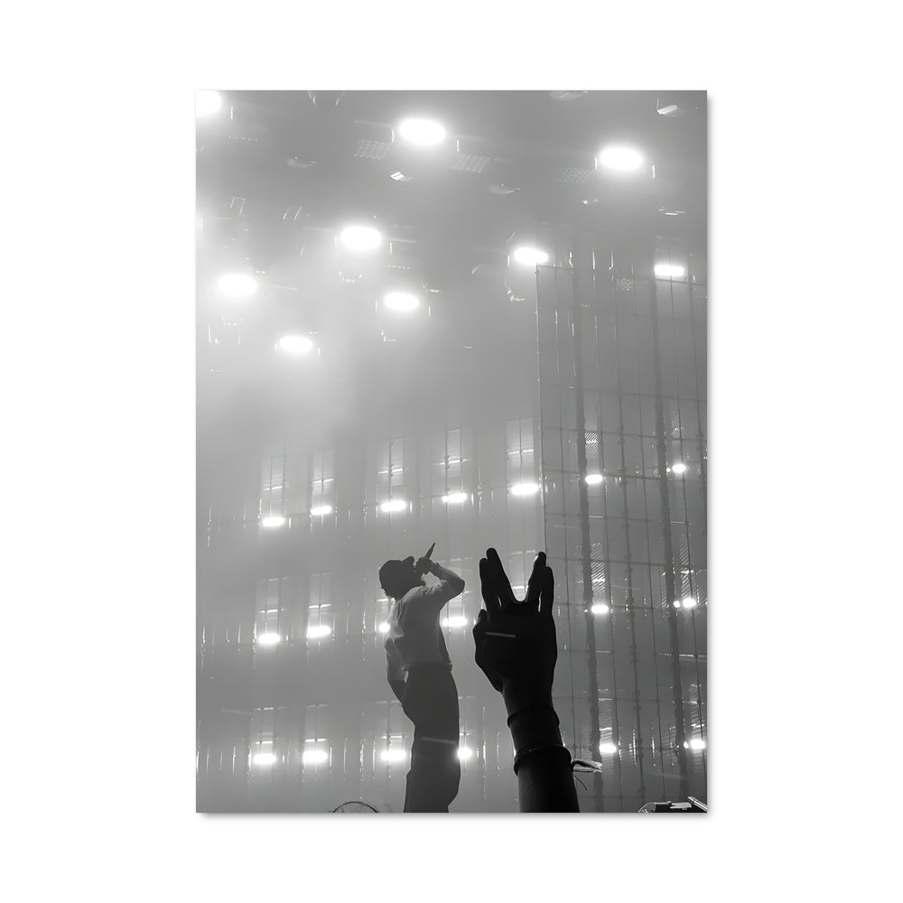Poster Damso 53318