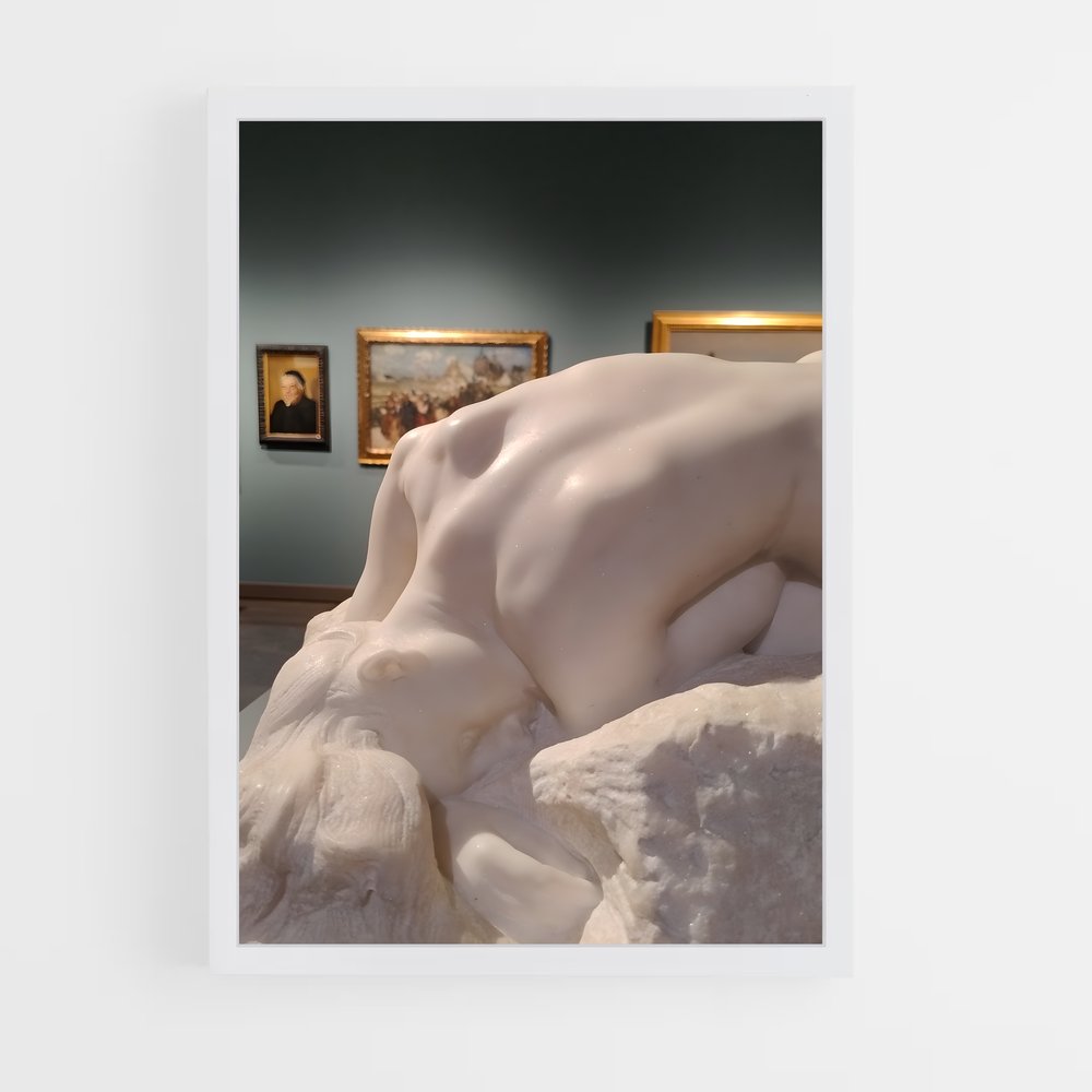 ap-danaid rodin-3 cadre Blanc