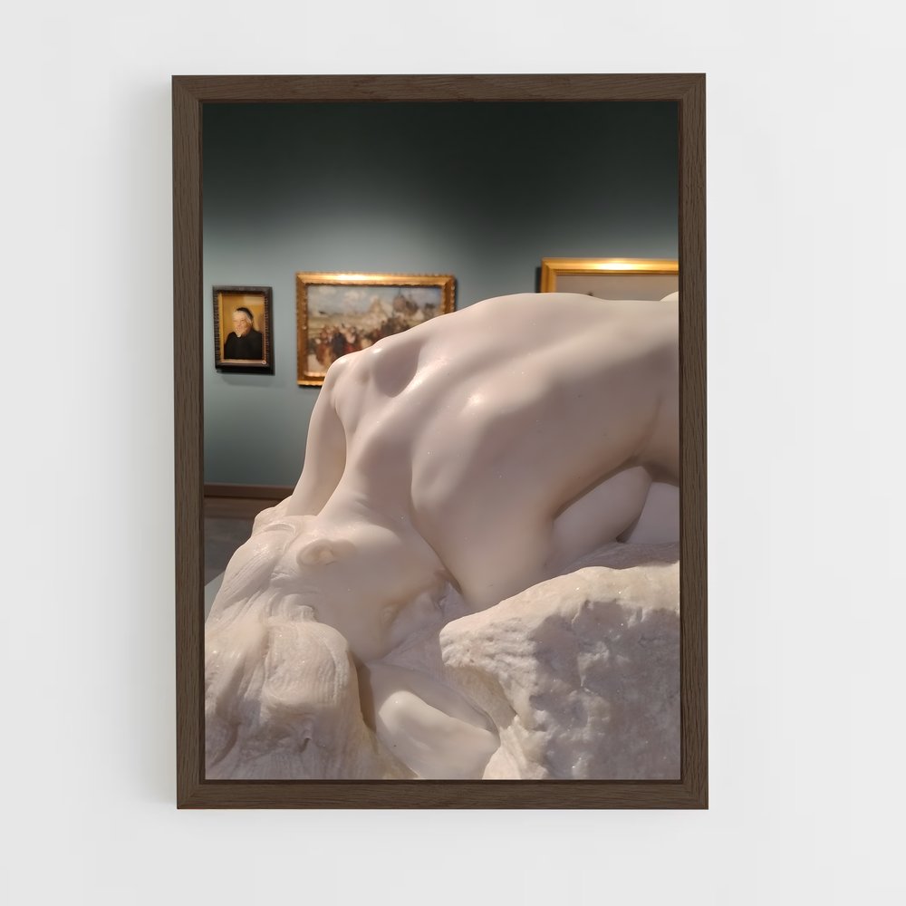 ap-danaid rodin-3 cadre Bois foncé