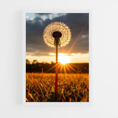 ap-dandelion-10 cadre Blanc