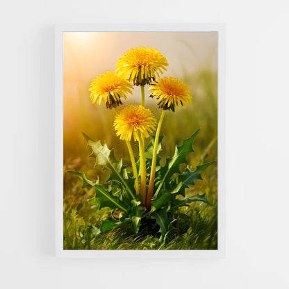 ap-dandelion-11 cadre Blanc
