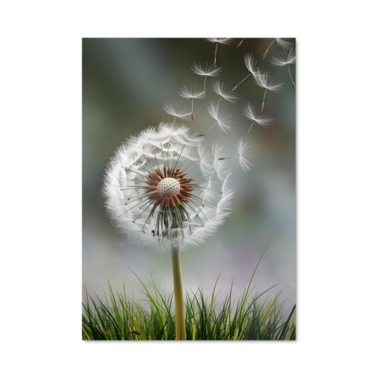 Poster Souffle de Pissenlit