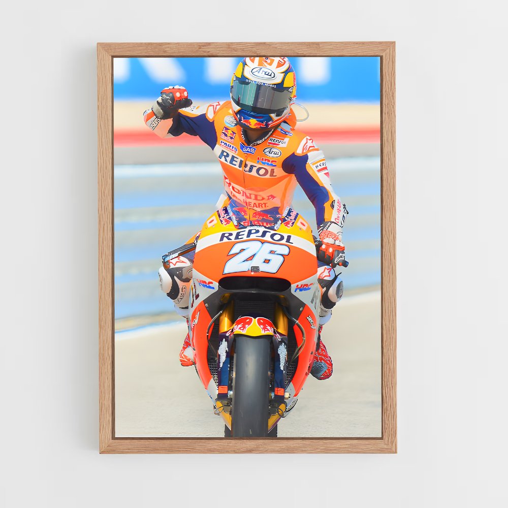 ap-dani pedrosa-4 cadre Bois clair
