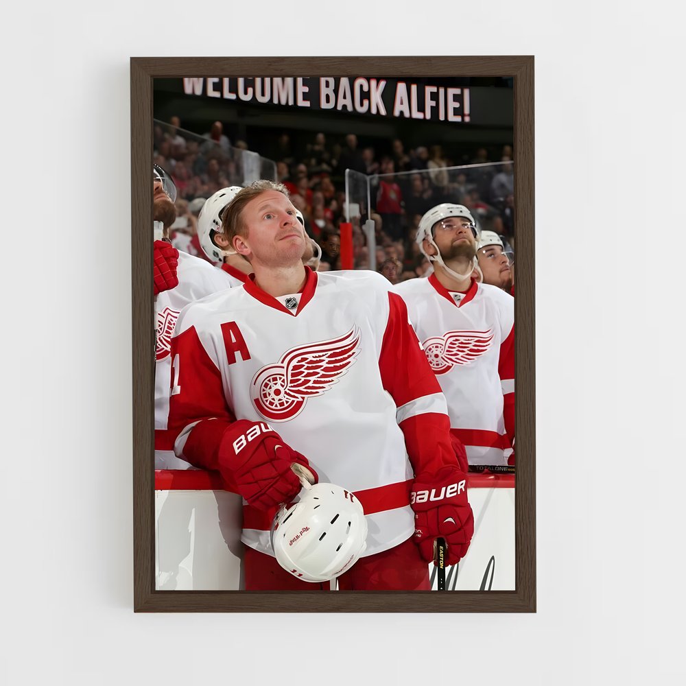 ap-daniel alfredsson-1 cadre Bois foncé