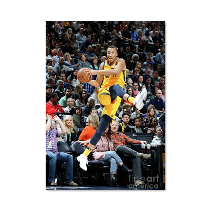 Poster Dunk Mids