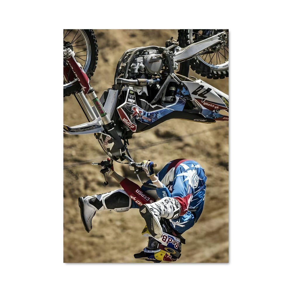 Poster Saut Élyséen