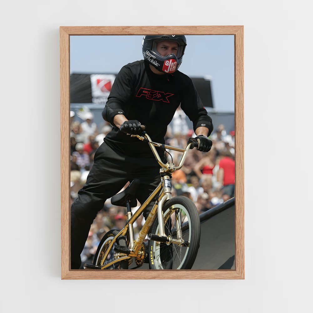ap-dave mirra-1 cadre Bois clair