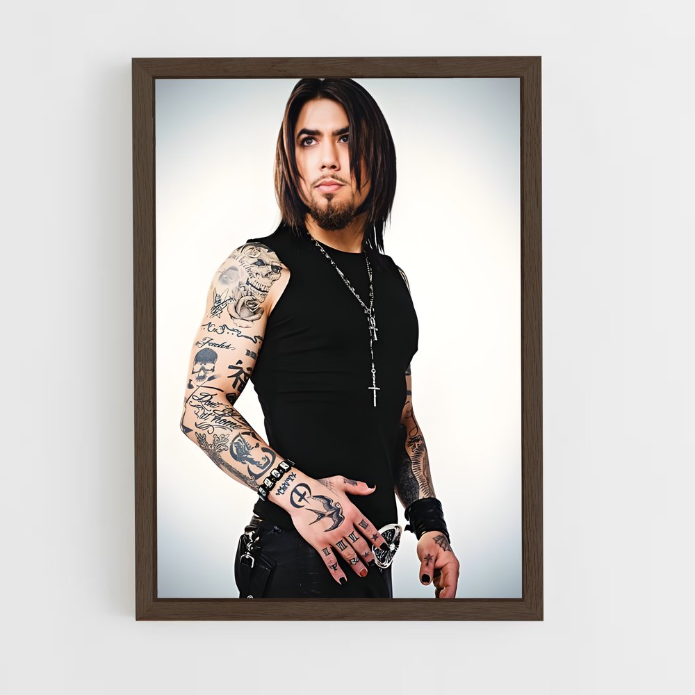 ap-dave navarro-5 cadre Bois foncé