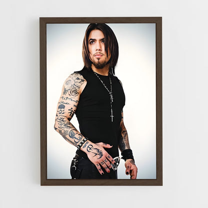 ap-dave navarro-5 cadre Bois foncé