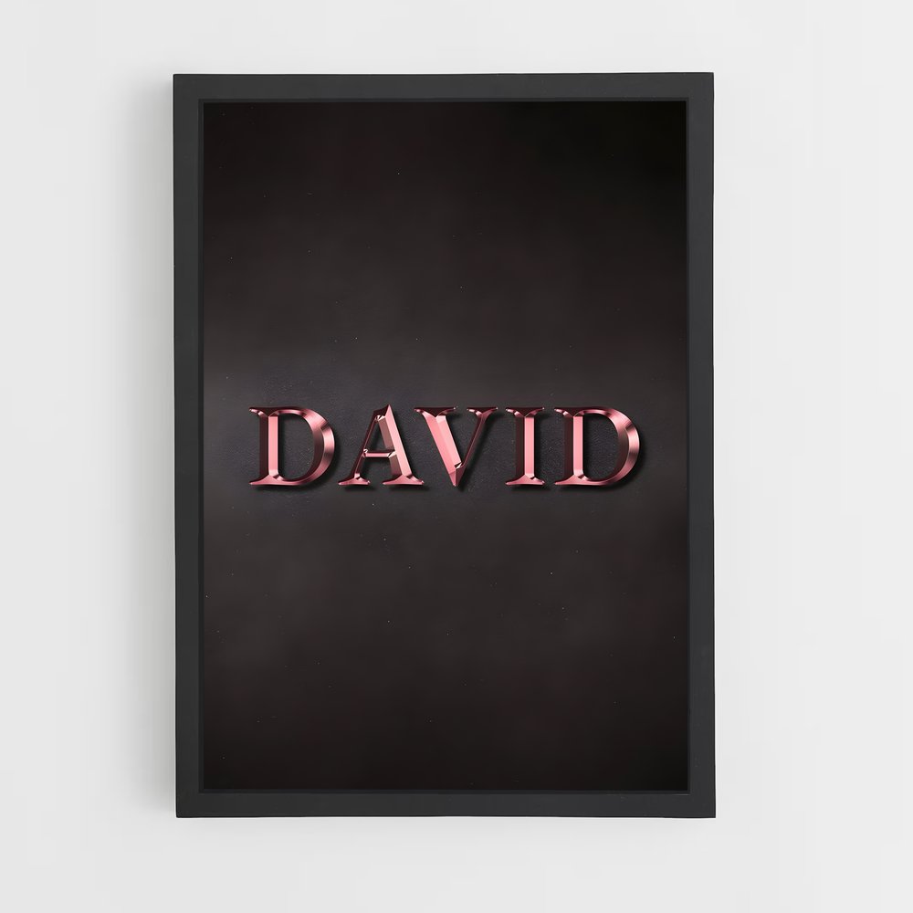 ap-david-3 cadre Noir