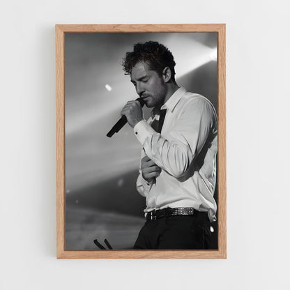 ap-david bisbal-3 cadre Bois clair