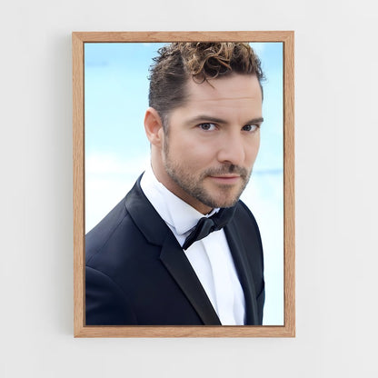 ap-david bisbal-5 cadre Bois clair