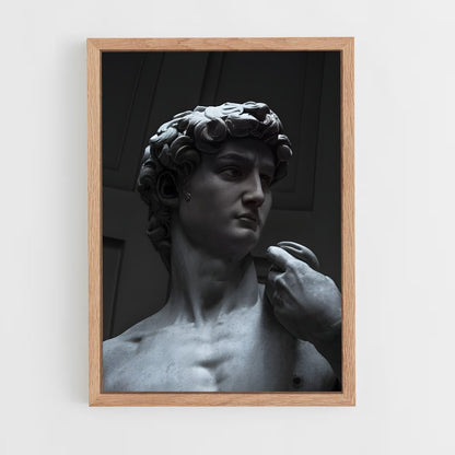 ap-david michelangelo-1 cadre Bois clair