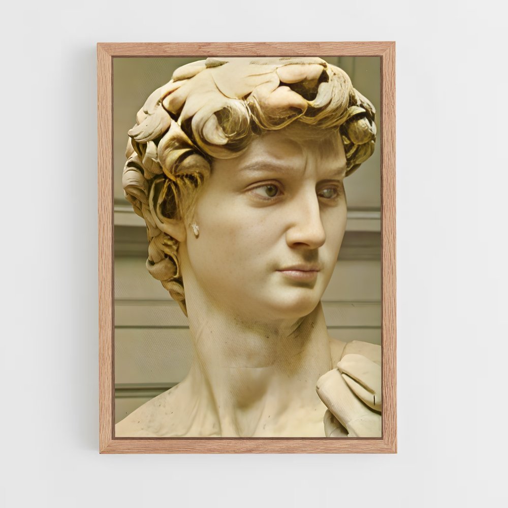 ap-david michelangelo-10 cadre Bois clair