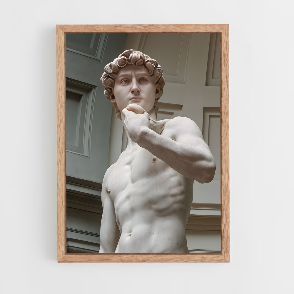 ap-david michelangelo-2 cadre Bois clair