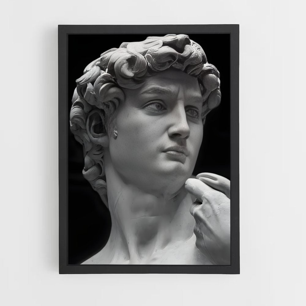 ap-david michelangelo-3 cadre Noir