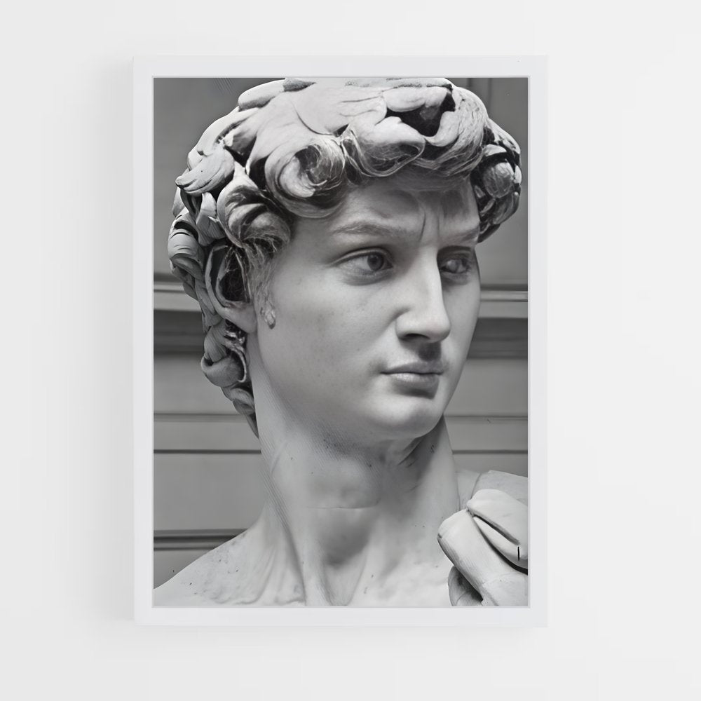 ap-david michelangelo-6 cadre Blanc
