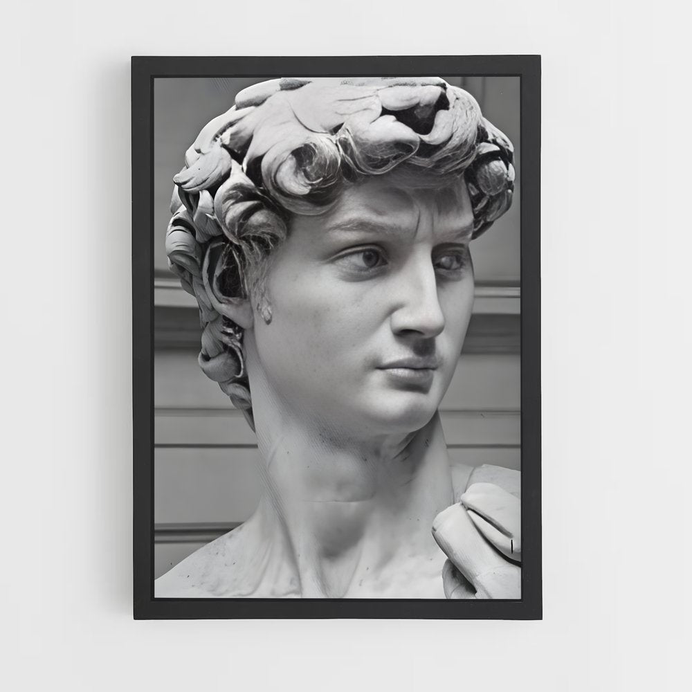 ap-david michelangelo-6 cadre Noir