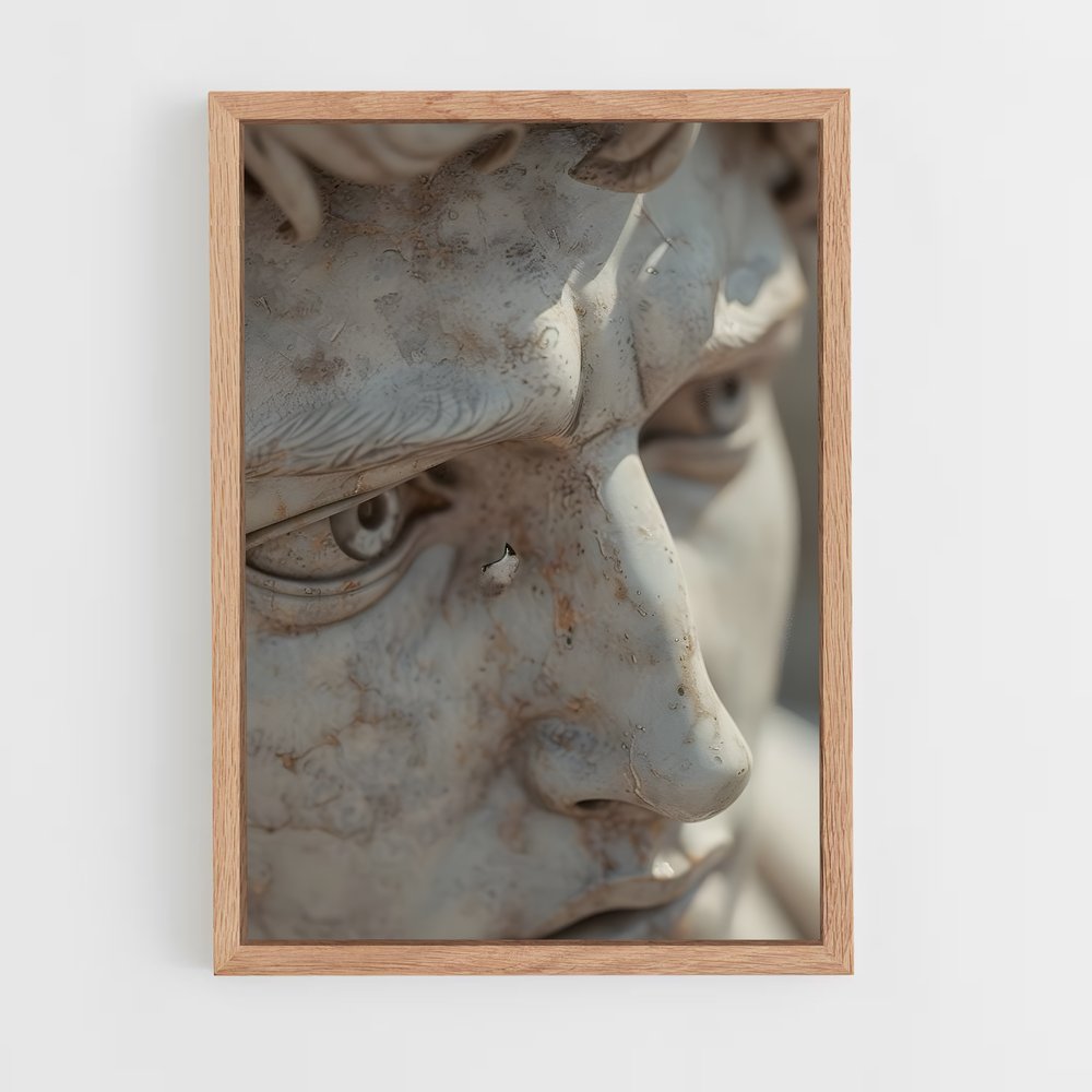 ap-david michelangelo-8 cadre Bois clair
