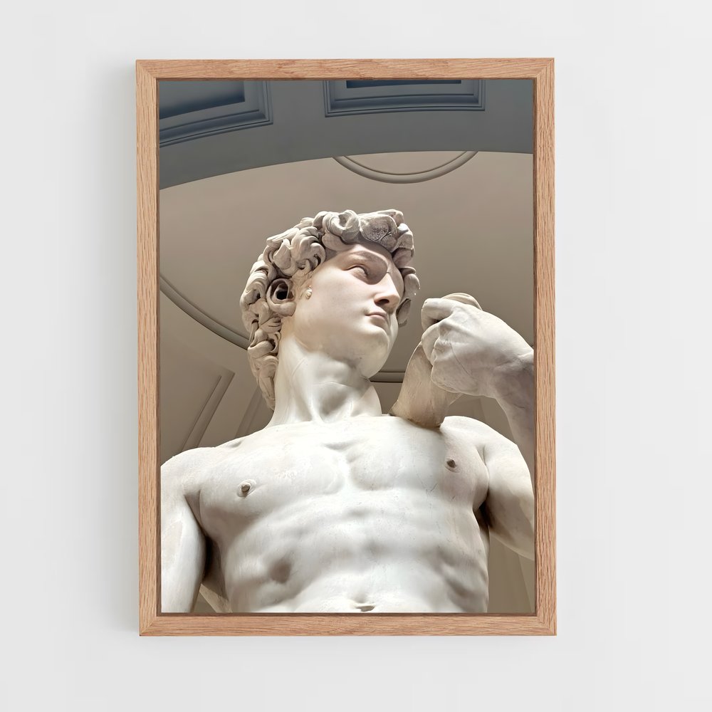 ap-david michelangelo-9 cadre Bois clair