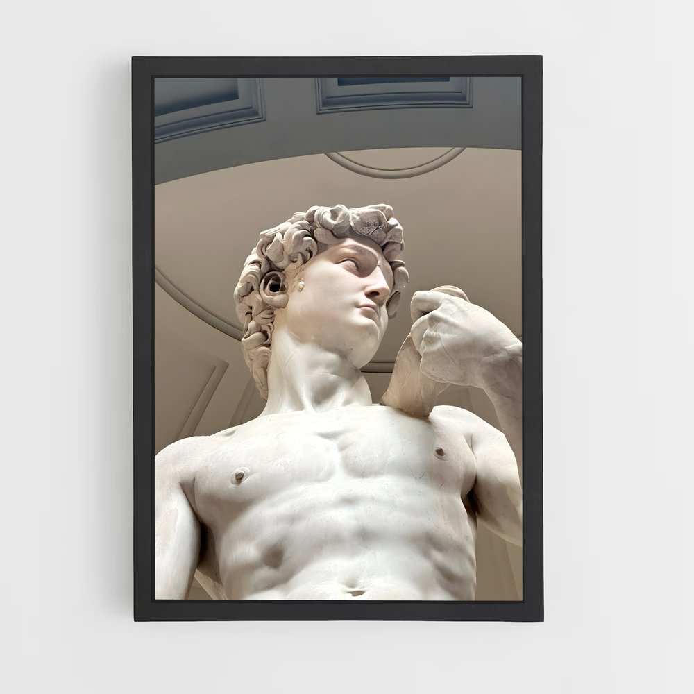 ap-david michelangelo-9 cadre Noir
