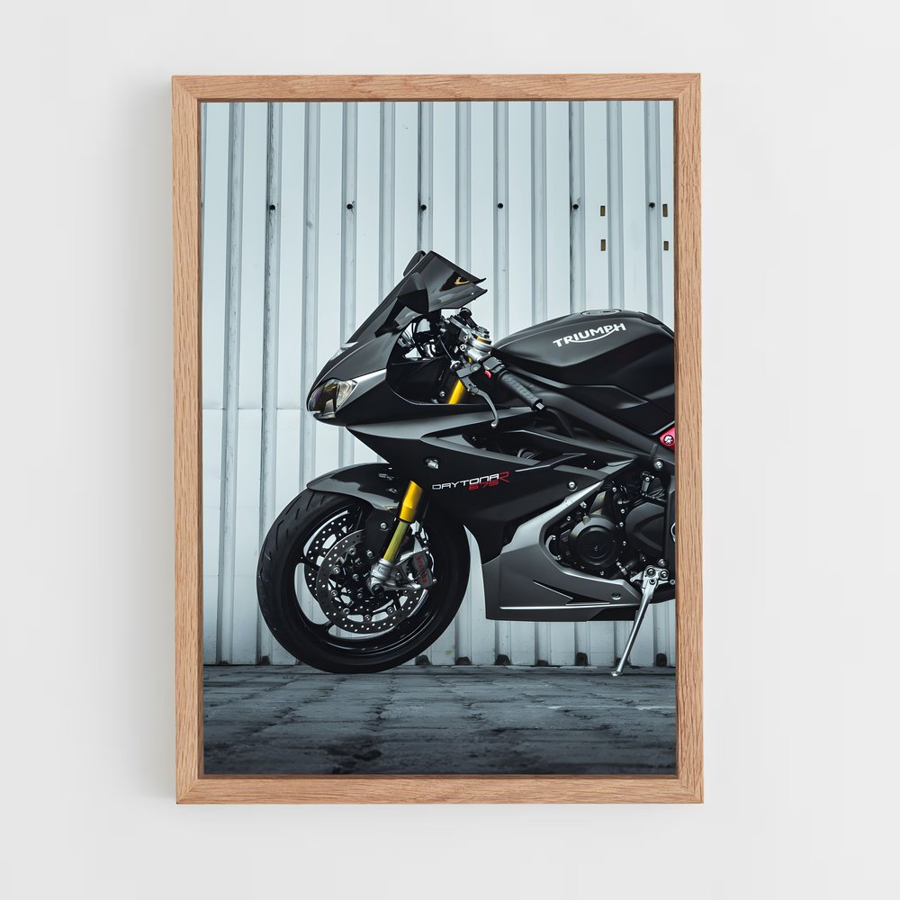 ap-daytona 675-2 cadre Bois clair