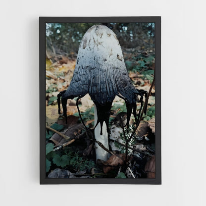 ap-death cap-3 cadre Noir