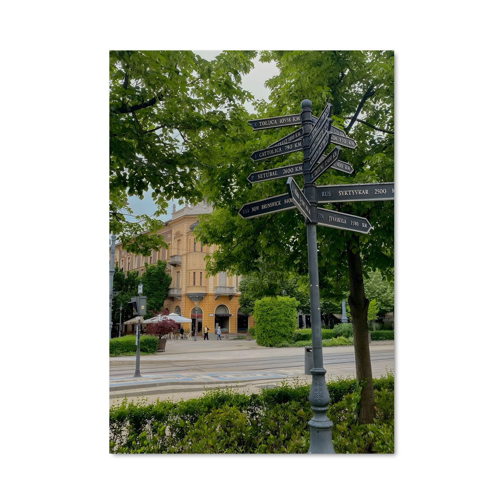 Poster Arbre de Debrecen