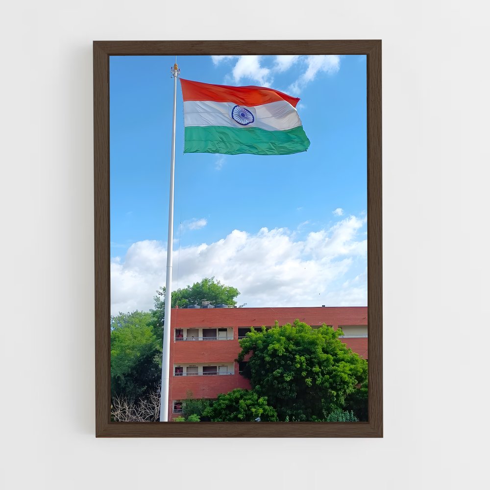 ap-delhi flag-2 cadre Bois foncé