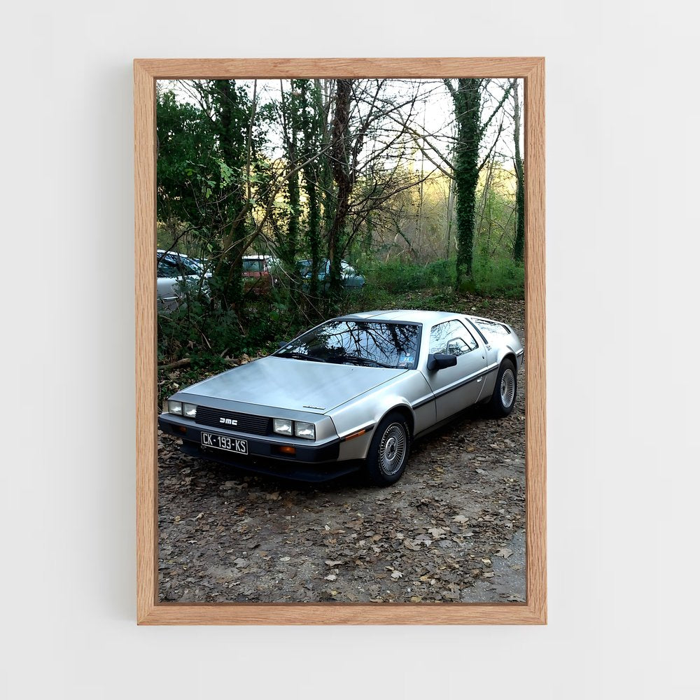 ap-delorean-1 cadre Bois clair