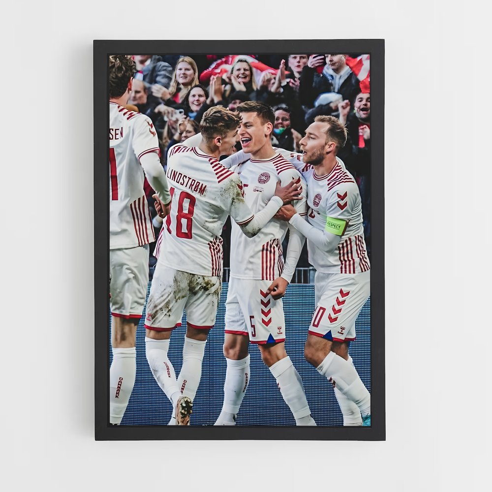 ap-denmark national football team-1 cadre Noir