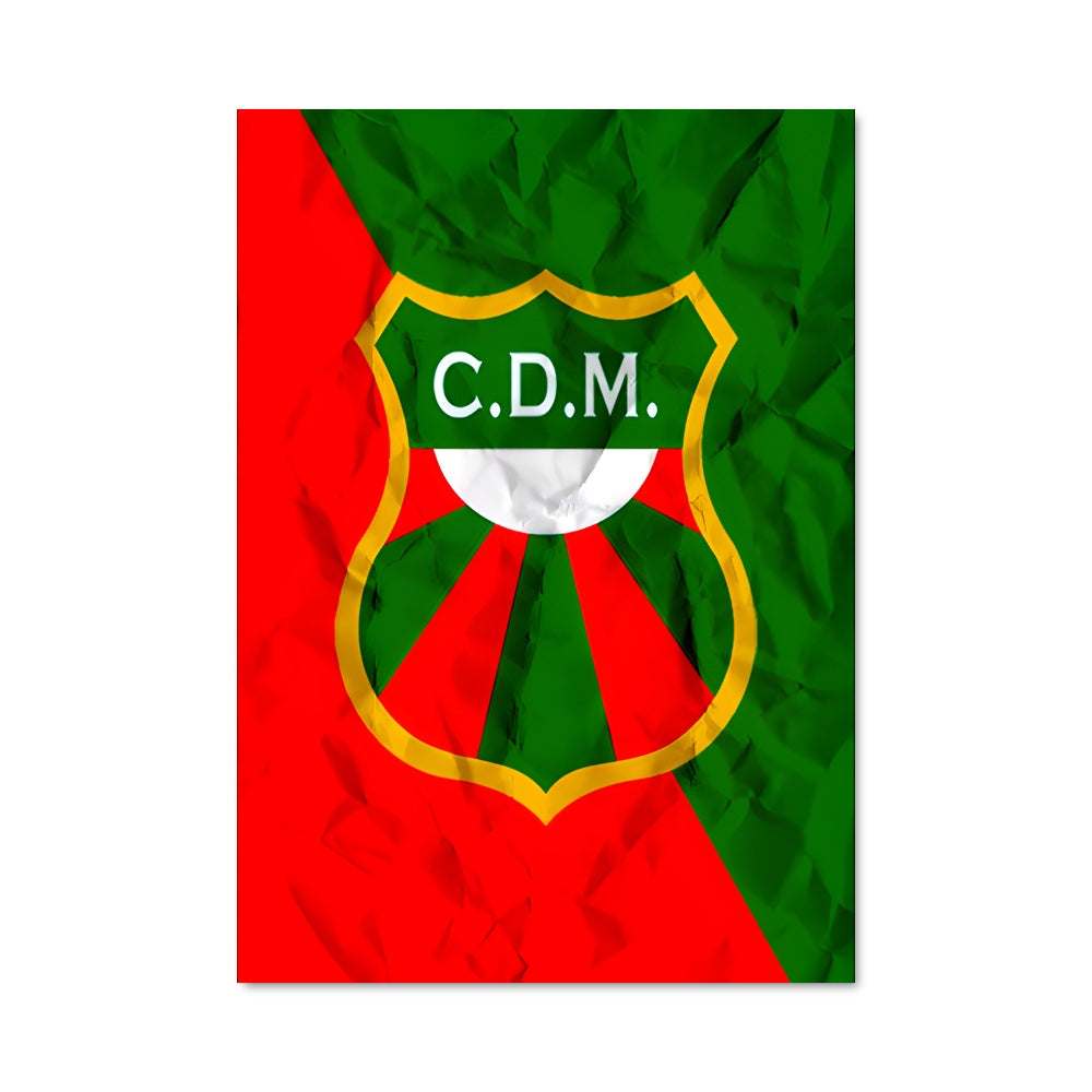 Poster Deportivo maldonado 70412