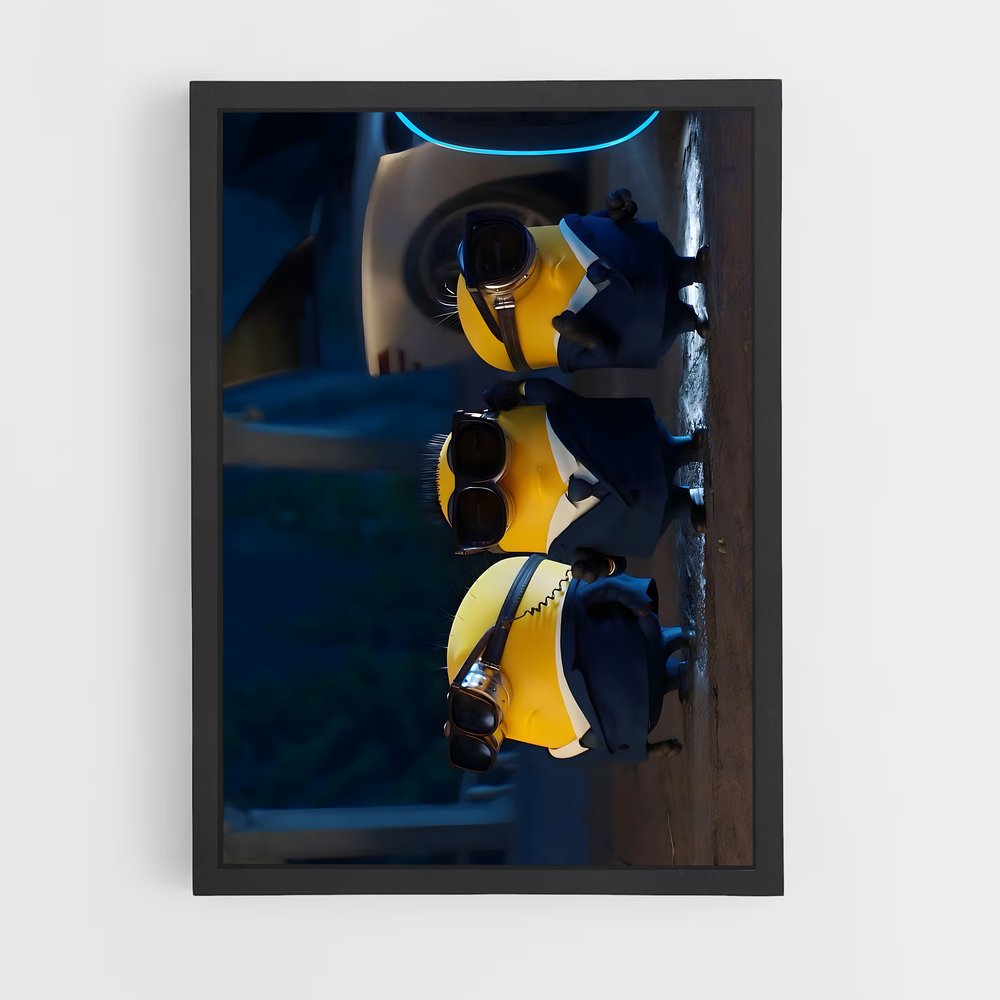 ap-despicable me-6 cadre Noir